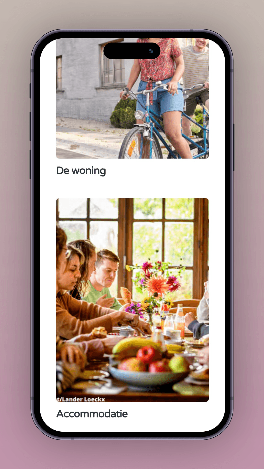 Mobiele weergave van De Borgerij website
