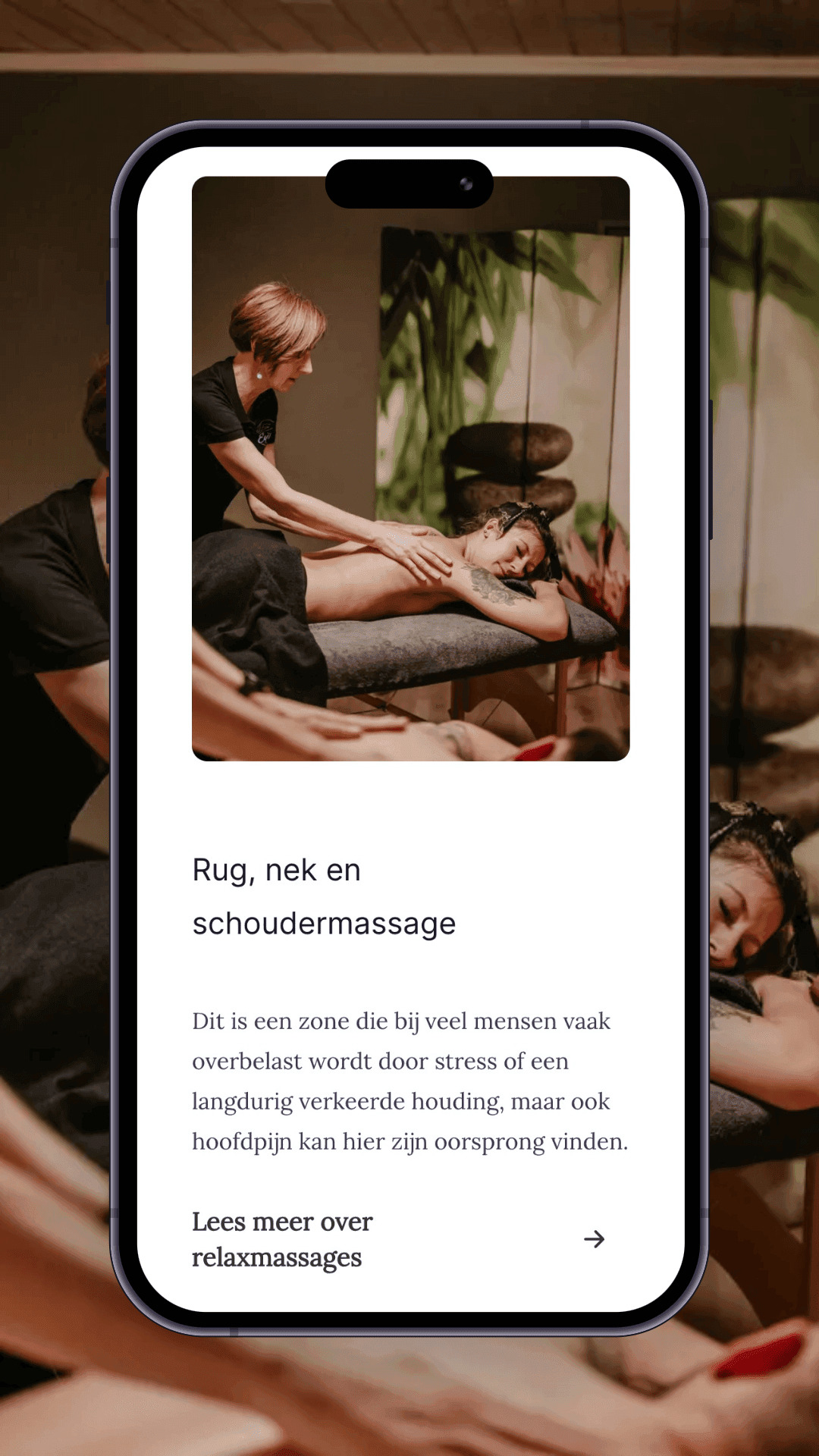 Mobiele weergave van Equilibra website