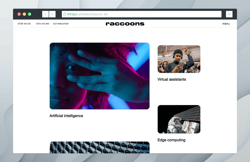 Raccoons: stuff