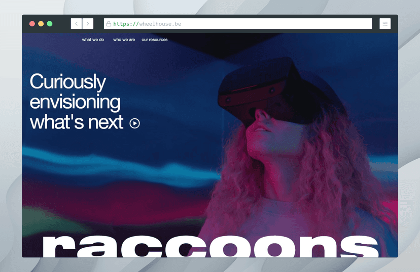 raccoons website: landing